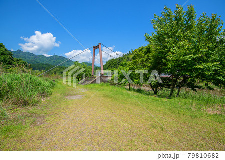 麻苧の滝自然公園付近 吊橋 初夏の周辺景色 麻苧の滝自然公園付近 吊橋 初夏の周辺景色 79810682