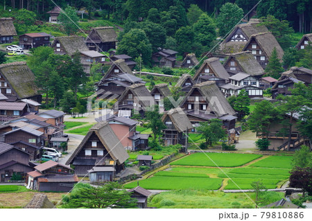 梅雨明けまじかの白川郷 79810886