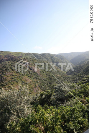 西ノ島の国賀海岸からの絶景 79810936
