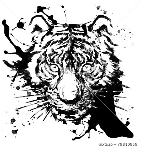 Sumi E Style Tiger Stock Illustration