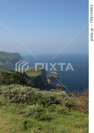 隠岐の島、西ノ島の国賀海岸 79810963