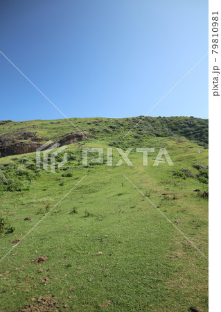 西ノ島の国賀海岸 79810981
