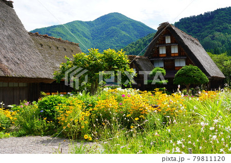 梅雨明けまじかの白川郷 79811120