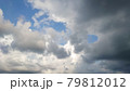 曇りのち晴れ 79812012