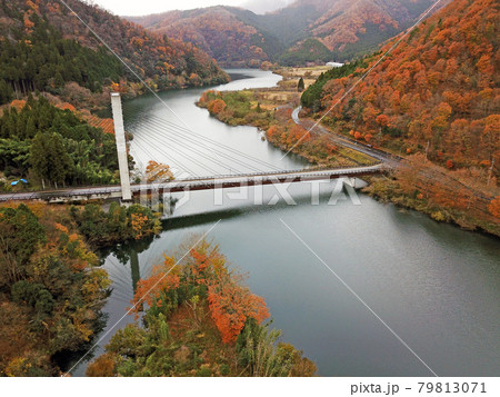 【ドローン空撮　京都府　美山町　紅葉】　大野ダム・虹の湖の秋の景観　京都府南丹市 79813071