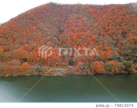 【ドローン空撮　京都府　美山町　紅葉】　大野ダム・虹の湖の秋の景観　京都府南丹市 79813074
