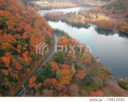 【ドローン空撮 京都府 美山町 紅葉】 大野ダム・虹の湖の秋の景観 京都府南丹市 【ドローン空撮 京都府 美山町 紅葉】 大野ダム・虹の湖の秋の景観 京都府南丹市 79813085
