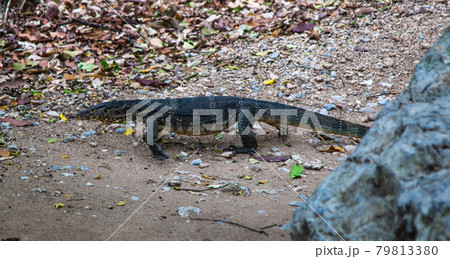 Phraya Nakhon Cave, Khua Kharuehat pavillion temple in Khao Sam Roi Yot National Park in Prachuap 79813380