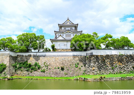 岸和田城【続日本100名城】 79813959