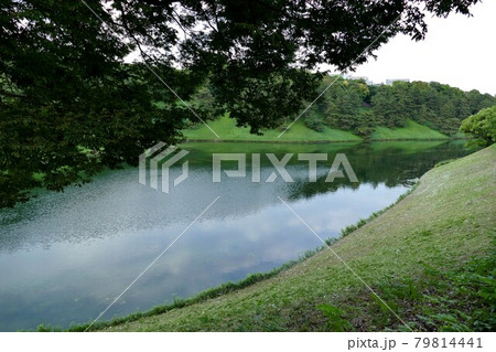 千鳥ヶ淵公園 東京千代田区 初夏の緑あふれる千鳥ヶ淵公園 皇居内堀 半蔵濠 マラソンコース 千鳥ヶ淵公園 東京千代田区 初夏の緑あふれる千鳥ヶ淵公園 皇居内堀 半蔵濠 マラソンコース 79814441
