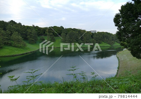 千鳥ヶ淵公園 東京千代田区 初夏の緑あふれる千鳥ヶ淵公園 皇居内堀 半蔵濠 マラソンコース 千鳥ヶ淵公園 東京千代田区 初夏の緑あふれる千鳥ヶ淵公園 皇居内堀 半蔵濠 マラソンコース 79814444