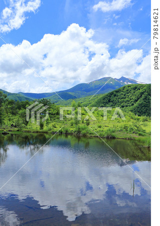 夏の乗鞍高原 まいめの池 夏の乗鞍高原 まいめの池 79814621