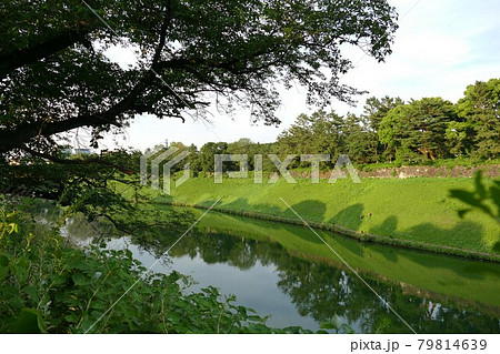 千鳥ヶ淵公園　東京千代田区　初夏の緑あふれる千鳥ヶ淵公園　皇居内堀　半蔵濠　マラソンコース 79814639