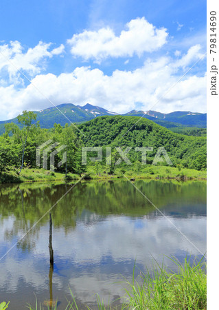 夏の乗鞍高原 まいめの池 夏の乗鞍高原 まいめの池 79814690