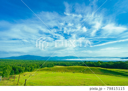 軽井沢 浅間山近郊 自然 快晴の青空風景素材 軽井沢 浅間山近郊 自然 快晴の青空風景素材 79815115