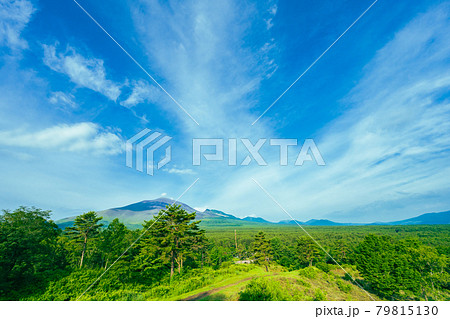 軽井沢 浅間山近郊 自然 快晴の青空風景素材 軽井沢 浅間山近郊 自然 快晴の青空風景素材 79815130