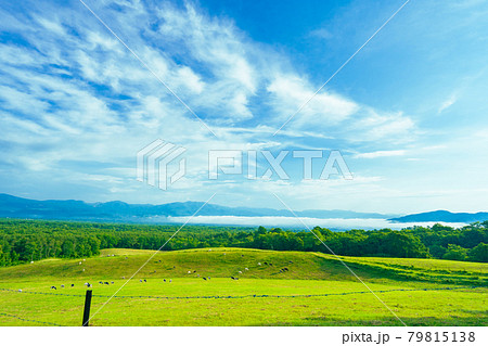 軽井沢 浅間山近郊 自然 快晴の青空風景素材 軽井沢 浅間山近郊 自然 快晴の青空風景素材 79815138