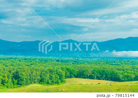 軽井沢 浅間山近郊 自然 快晴の青空風景素材 79815144