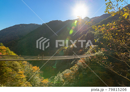 日本の絶景紅葉風景 梅の木轟公園吊橋の全景風景 「秘境・五家荘・平家の里」 (日本2020年秋撮影) 79815206
