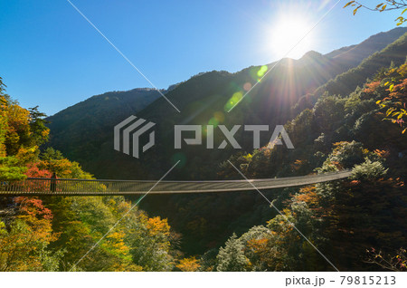 日本の絶景紅葉風景 梅の木轟公園吊橋の全景風景 「秘境・五家荘・平家の里」 (日本2020年秋撮影) 日本の絶景紅葉風景 梅の木轟公園吊橋の全景風景 「秘境・五家荘・平家の里」 (日本2020年秋撮影) 79815213