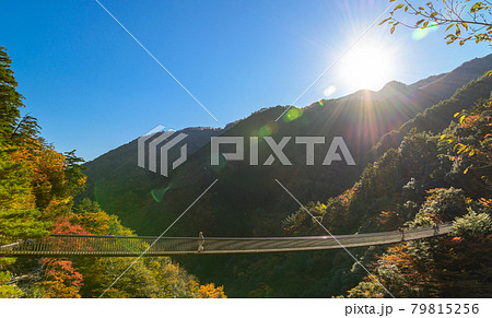 日本の絶景紅葉風景 梅の木轟公園吊橋の全景風景 「秘境・五家荘・平家の里」 (日本2020年秋撮影) 79815256