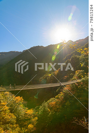 日本の絶景紅葉風景 梅の木轟公園吊橋の全景風景 「秘境・五家荘・平家の里」 (日本2020年秋撮影) 79815264