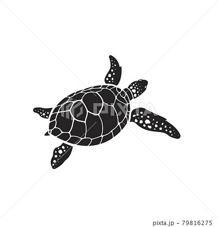 Vector of turtle design on a white background. Reptile. Animals. Easy editable layered vector illustration. 79816275