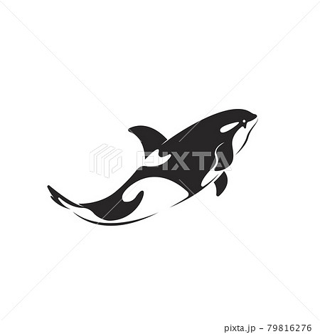 Vector of whale design on white background. Easy editable layered vector illustration. Wild Animals. Undersea animals 79816276