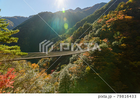日本の秘境(秋)「紅葉百選」五家荘・梅の木轟公園吊橋の全景風景　(日本2020年秋撮影)九州・熊本県 79816433