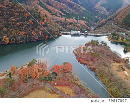 【ドローン空撮　京都府　美山町　紅葉】　大野ダム・虹の湖の秋の景観　京都府南丹市 79817097