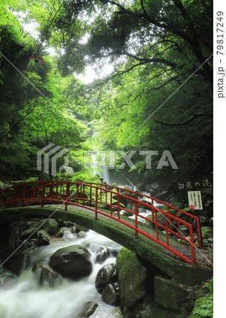 伊賀市の白藤の滝 79817249