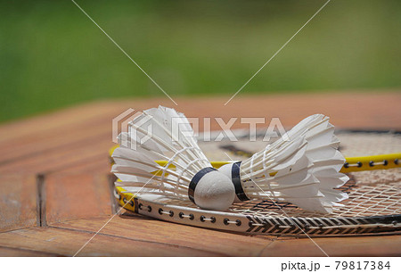 Two shuttlecocks and badminton racket. Two shuttlecocks and badminton racket. 79817384