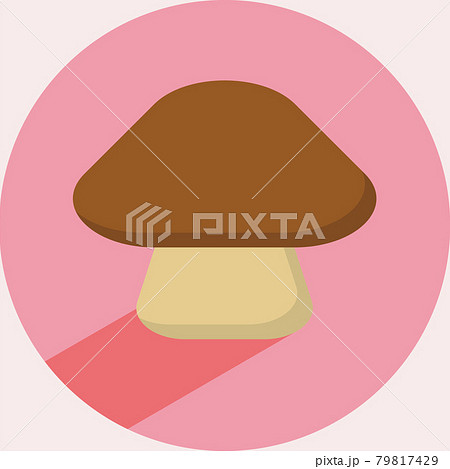 キノコのイラスト 有機野菜ベジタリアン Illustration of mushroom organ キノコのイラスト 有機野菜ベジタリアン Illustration of mushroom organ 79817429