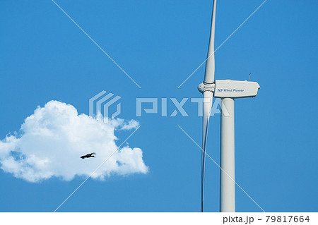 北九州市の響灘風力発電施設と白い雲 79817664