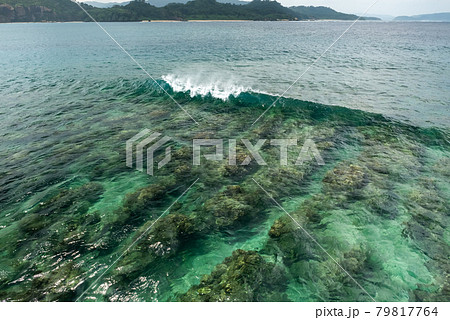 Stunning crystalline emerald green wave over coral reefs. Iriomote Island. 79817764