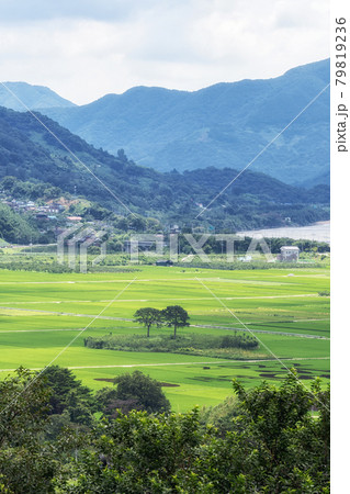 Seomjingang and Hadong Rice paddies Seomjingang and Hadong Rice paddies 79819236