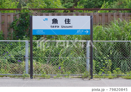 JR西日本 山陽本線 魚住駅の駅名標の写真素材 [79820845] - PIXTA