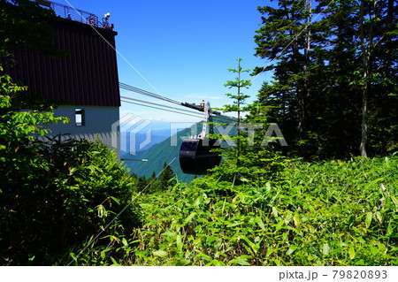 梅雨明けした夏の新穂高ロープウェイ 79820893