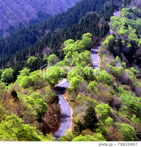 新緑の峠 79820907