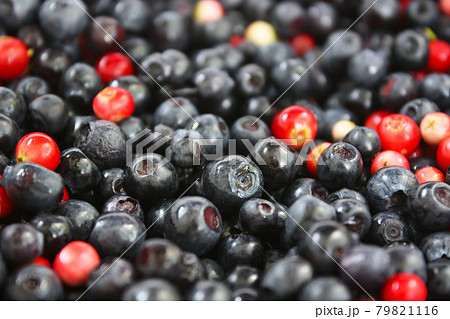 Cranberries and blueberries 79821116