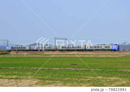 芽吹き始めた畑を前に快走する特急「宗谷」 79822991