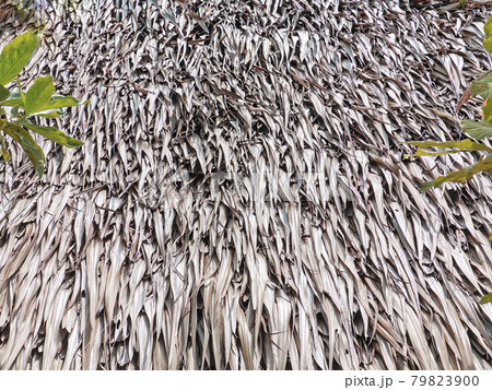 Full Frame Background of Thatched Roof Full Frame Background of Thatched Roof 79823900