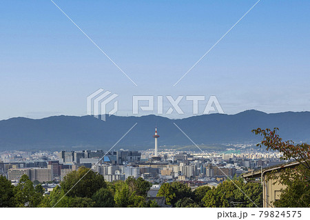 京都タワー 79824575
