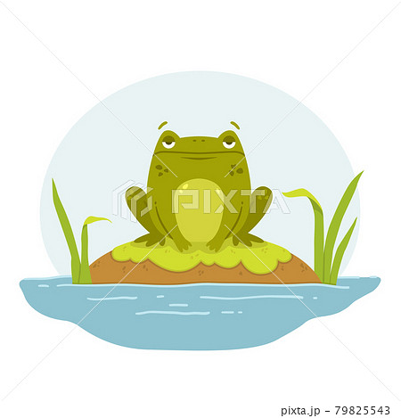 A frog in a swamp. Toad sits on a rock. Cute flat hand drawn character. Vector illustration isolated on white background. 79825543