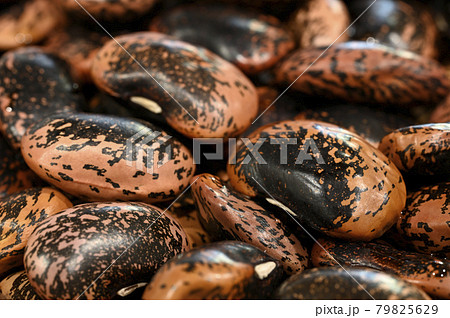 花豆(ベニバナインゲン) 花豆(ベニバナインゲン) 79825629