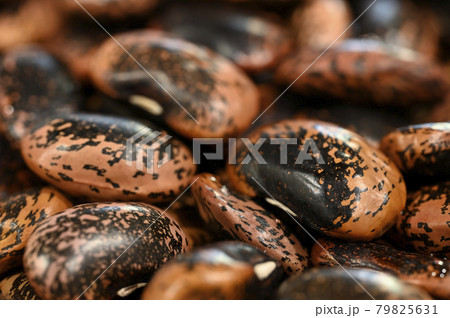 花豆(ベニバナインゲン) 花豆(ベニバナインゲン) 79825631