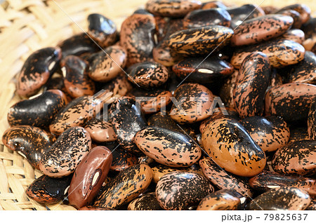 花豆（ベニバナインゲン） 79825637