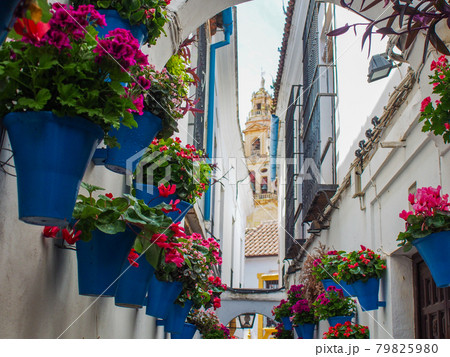 スペイン・コルドバの花の小径 スペイン・コルドバの花の小径 79825980