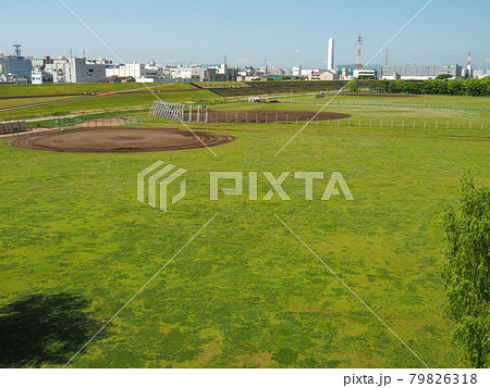 東京板橋・荒川河川敷の野球場 東京板橋・荒川河川敷の野球場 79826318