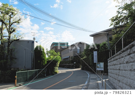 甲東園駅周辺の町並み　学園花通り 79826321